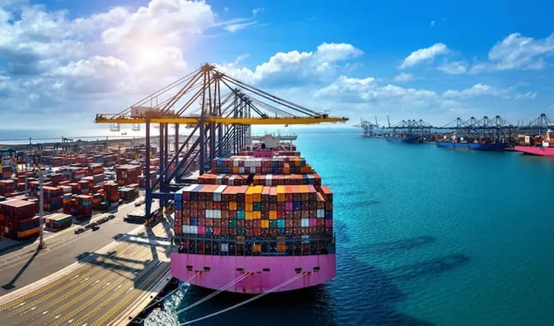 Import & Export